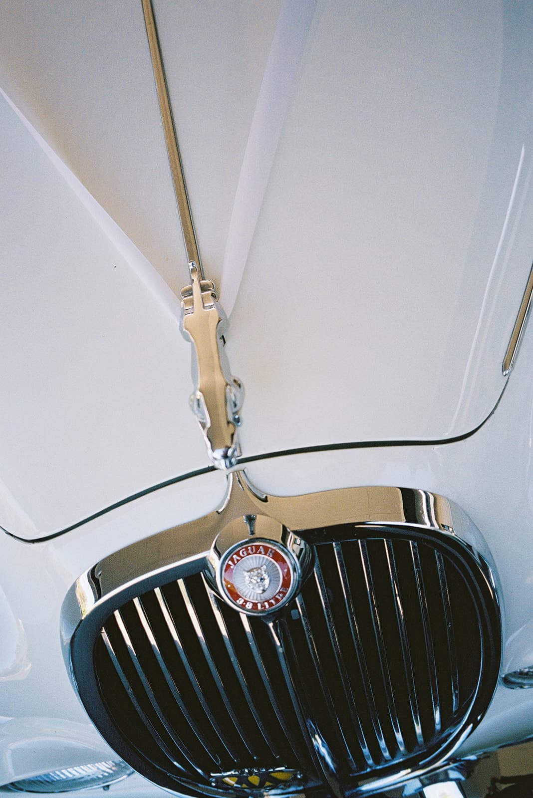 La Bella Wedding Cars wedding gallery photo 6