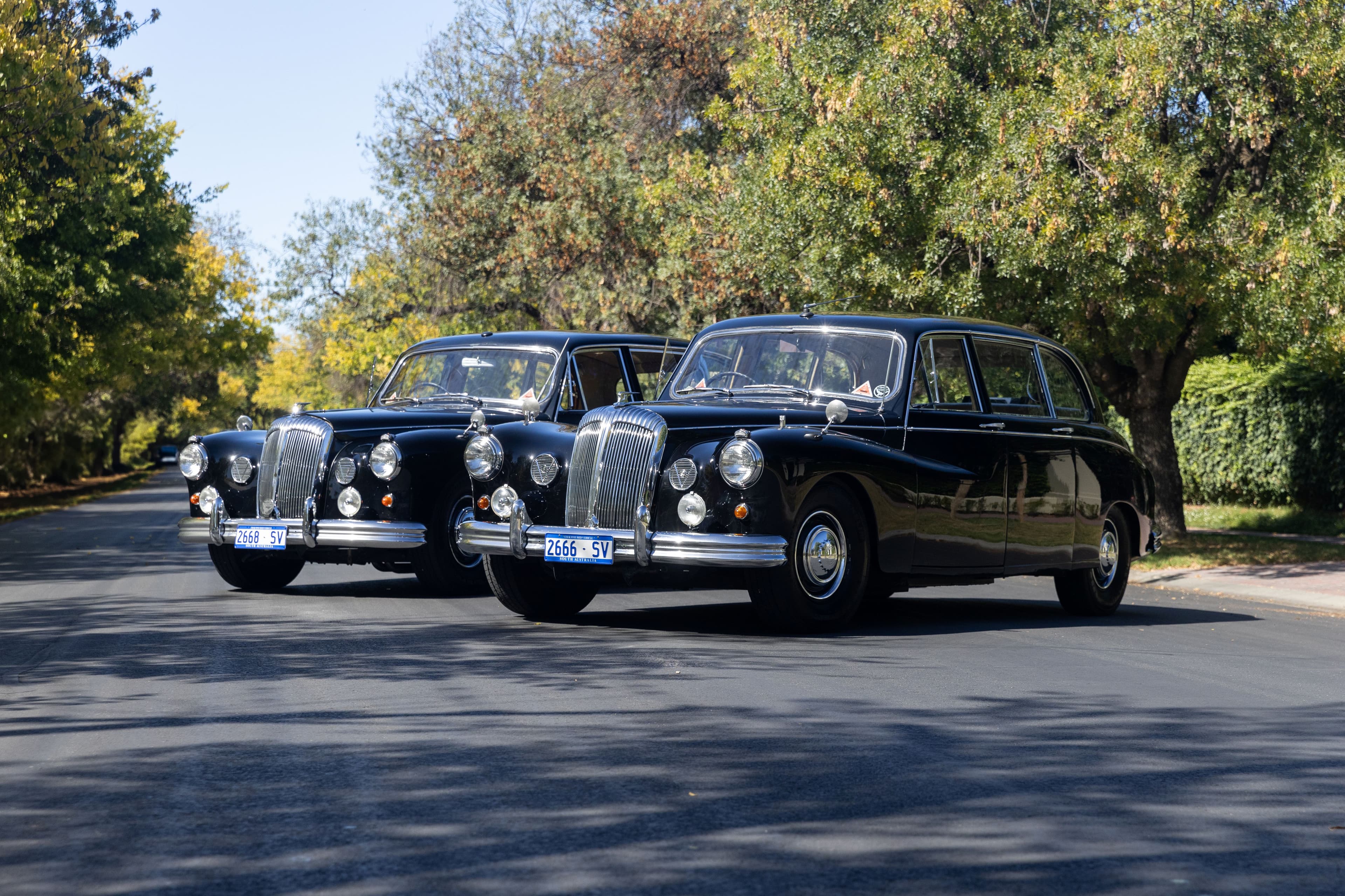 The Daims wedding gallery photo 4