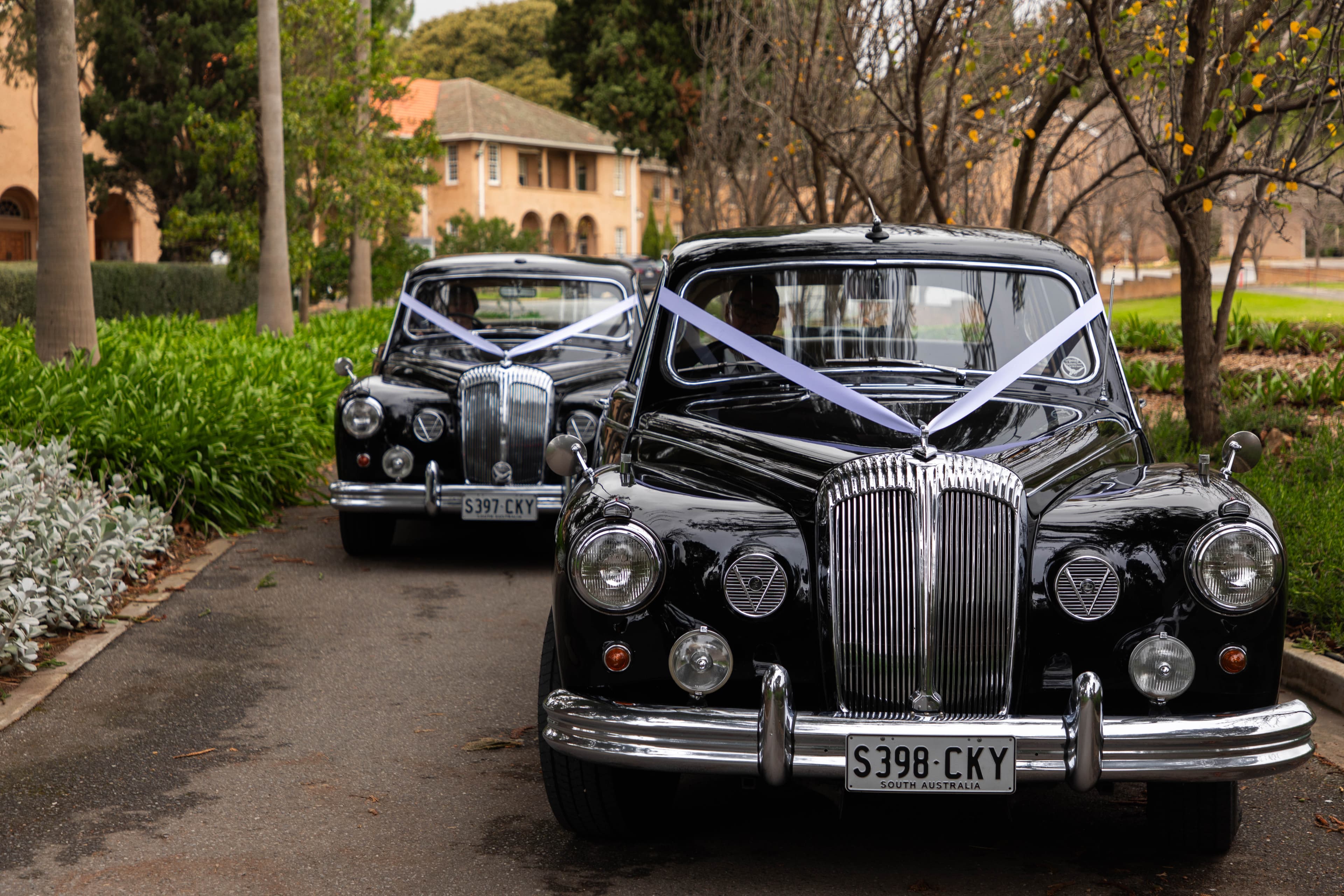 The Daims wedding gallery photo 1
