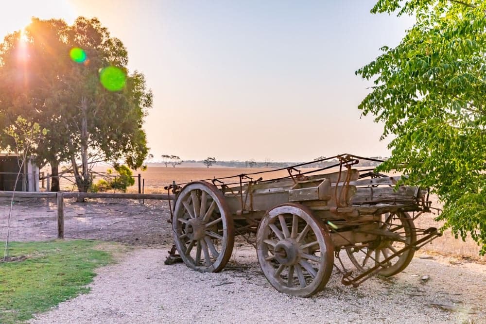 Redwing Farm wedding photo