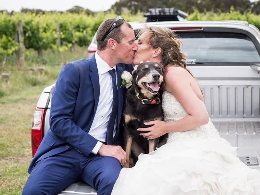 Professional Photos & Video wedding photo
