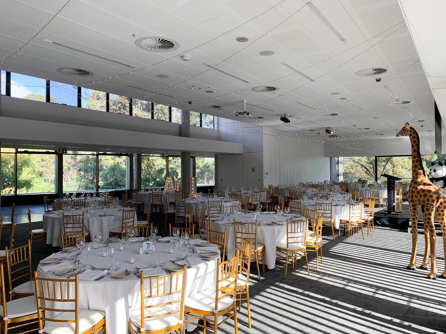 Sanctuary Adelaide Zoo — cover photo
