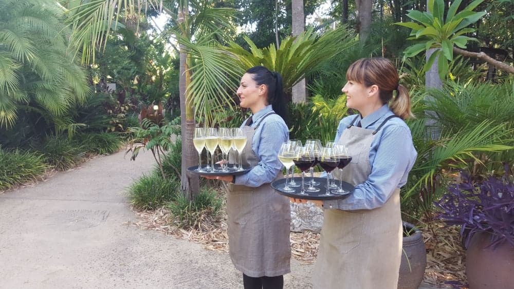 Sanctuary Adelaide Zoo wedding photo
