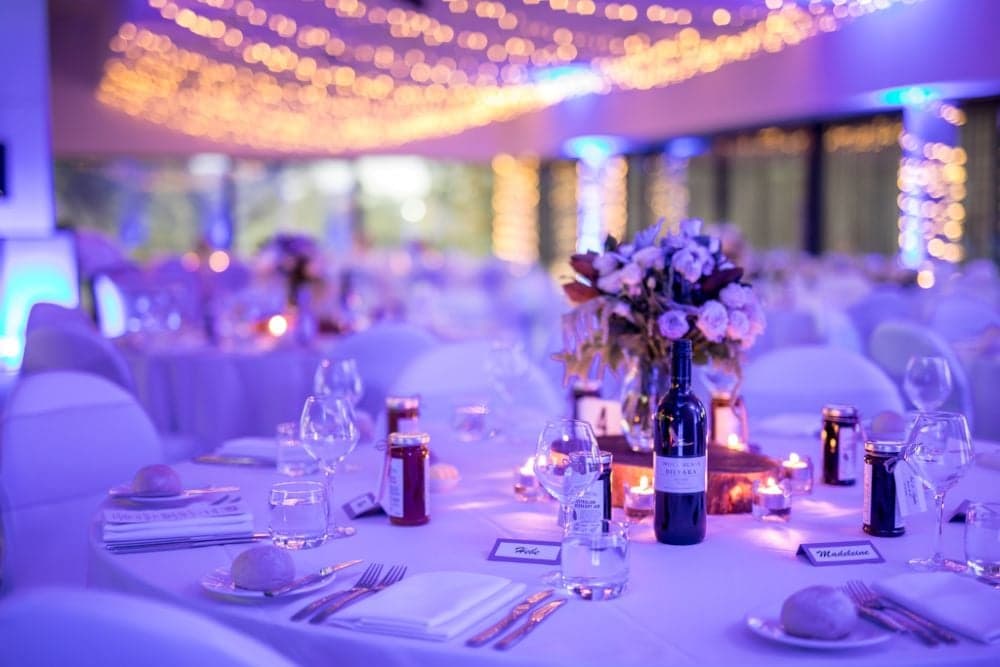 Sanctuary Adelaide Zoo wedding photo