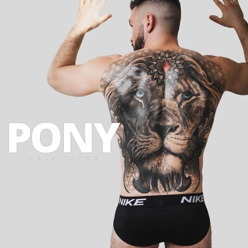 PONY Adelaide - Male Revue Entertainment — wedding supplier in Adelaide, SA