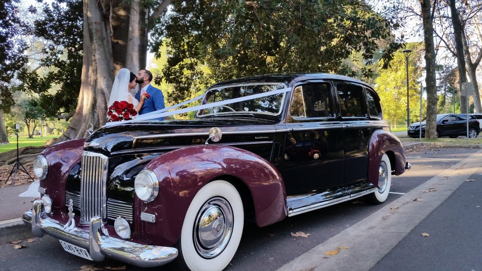 Macphersons Chauffeured Cars — wedding supplier in SA