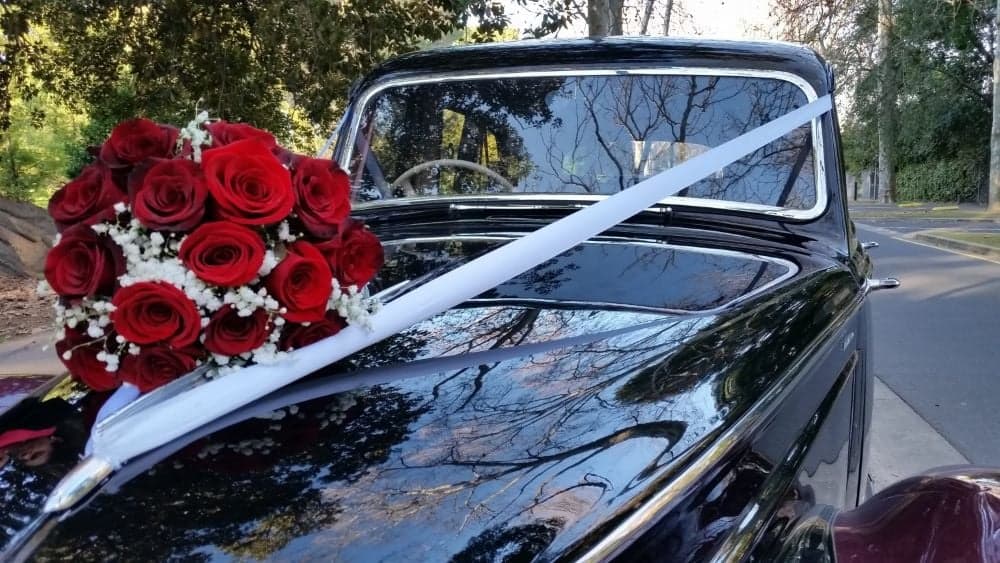 Macphersons Chauffeured Cars wedding photo