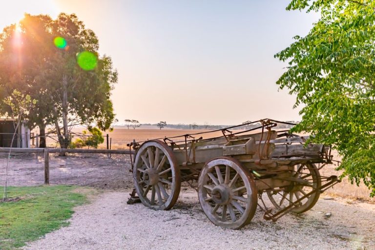 redwing 30 n 1 768x512